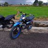 tioferlian259