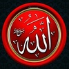 allahallah3311