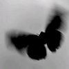 lenka_eater