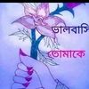 user8199682173333