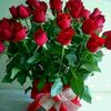 abdu25841
