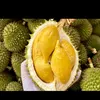 nguyn.tin.thnh517