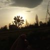 j___0038