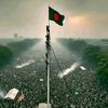 mohammadpiash6