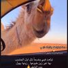 سامي الضعينان..!؟