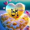 tauqeerbashir73