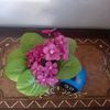 yasemin_ilr098
