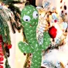 zima_cactus_ben
