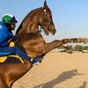 ahmaed0099ali