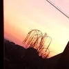 paulina.ivanov