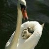mes.enfants.ma.vi8675