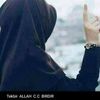 irmaknehir49