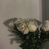 fatma_xa49