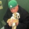 bulldog6882