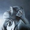 lebronthemonkeyman