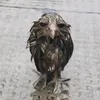 ky_3454