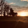 nm_r191