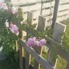 susana.henar
