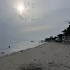 zsmj.nsfw