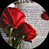 rokib.ahmed35