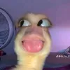 104h_t128