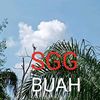 sgg19813