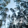 _BlueSky_