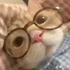ndiiepp_0