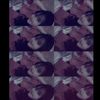 ssaa_kessa