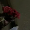 zaa_n_7