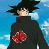 sajjad_10k