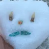 gs_cat12