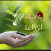 user1420923528533