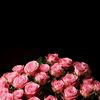 allaberdiyewa_007