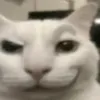 aquishalala