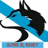 alpha.el.hasky