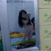 dinhdinhxynkdep