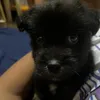 bark__ley