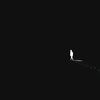 ilaa0._