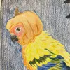 justdrawingbirds