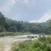 thichthongpphuongpagoda