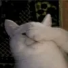 hilichurlssz