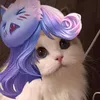 sgp_thaovy