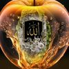 user1581284366726