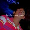 cobito5432