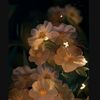 astheric_6