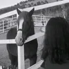 ai_ro67