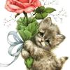 om.mohammad.showm