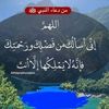 user277005133935