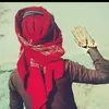 user751033122409